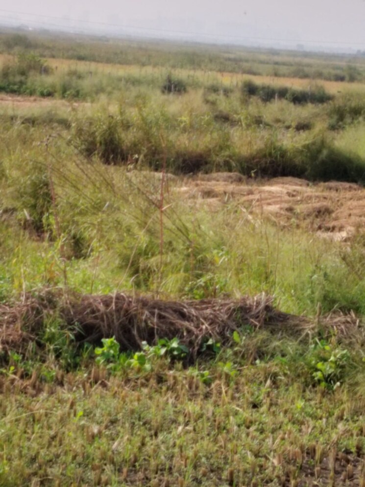 undefined, vindhane Commercial Land 1089 Sq.Ft. In Vindhane Navi Mumbai 8004858