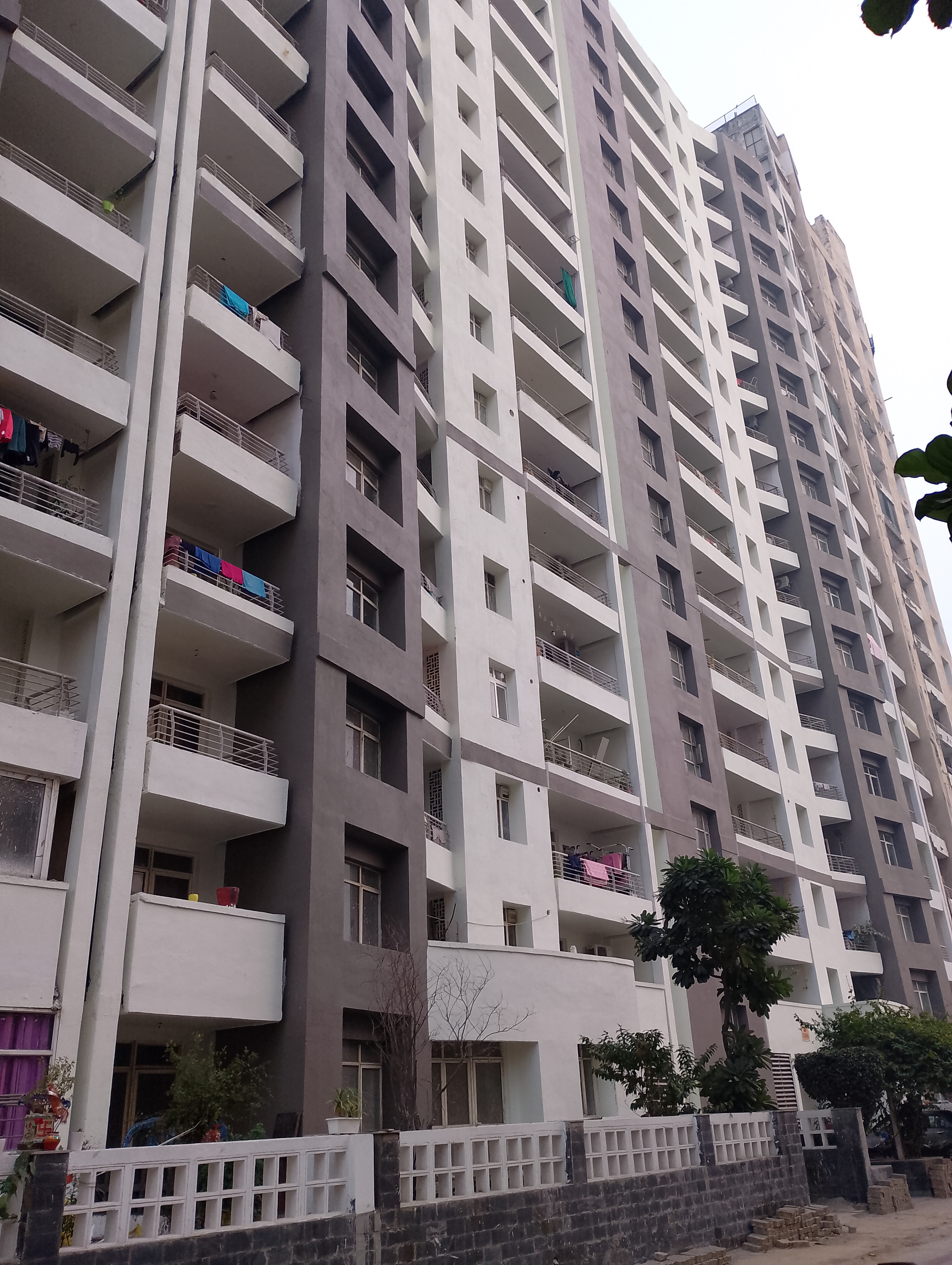 3 BHK + Pooja Room 1790 Sq.Ft. Apartment in Raheja Vedas