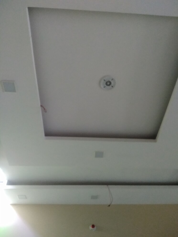 undefined, gomti nagar  800 Sq.Ft. Plot In Gomti Nagar Lucknow 8005062