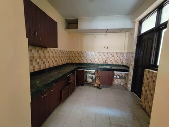 3 BHK Apartment For Rent in TDI City Kingsbury Kundli Sonipat  8005093