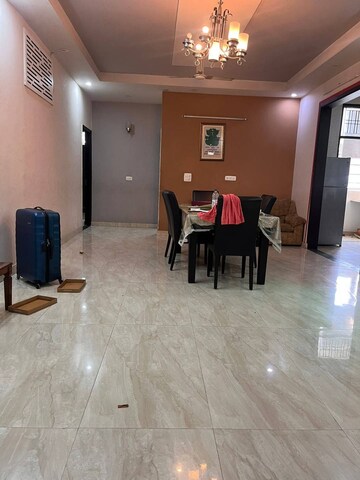 Living Room in 3 BHK Builder Floor at Ansal Plaza Sector-23, Sector 23 – for Rent