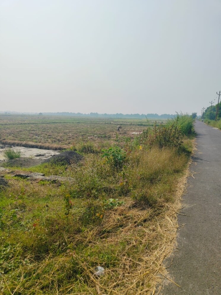 undefined, chirle Commercial Land 1089 Sq.Ft. In Chirle Navi Mumbai 8005296