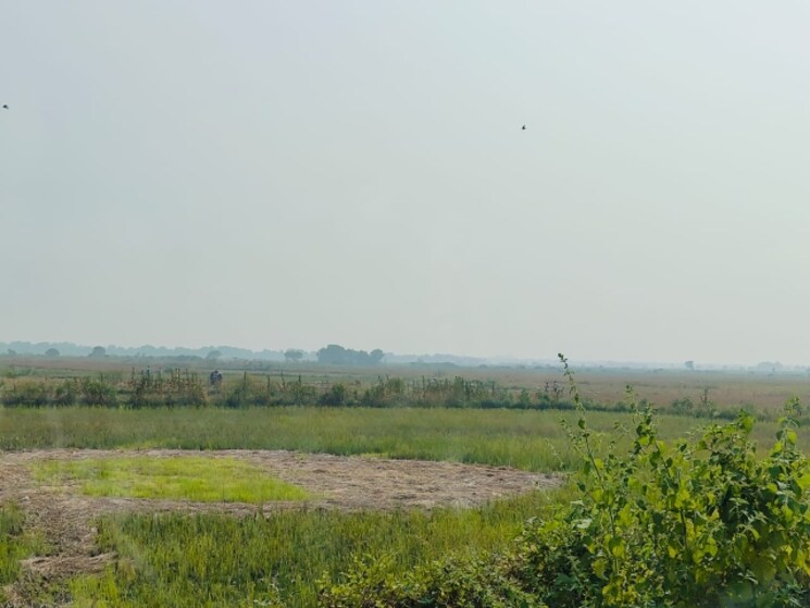 undefined, chirle Commercial Land 1089 Sq.Ft. In Chirle Navi Mumbai 8005296