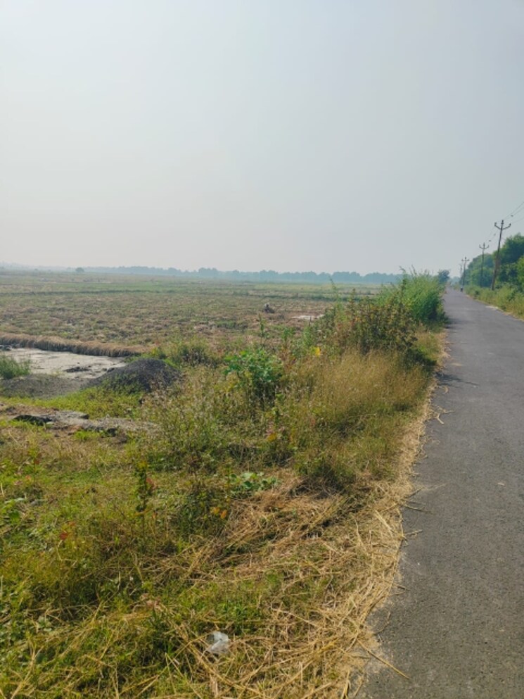 undefined, chirle Commercial Land 1089 Sq.Ft. In Chirle Navi Mumbai 8005296