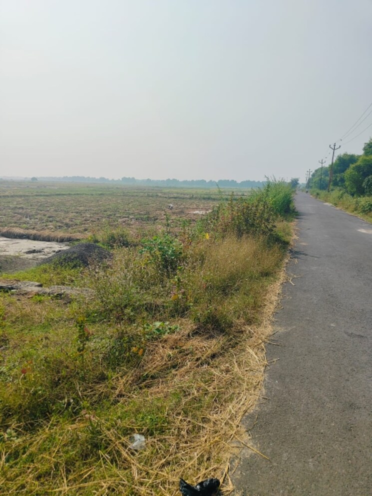 undefined, chirle Commercial Land 1089 Sq.Ft. In Chirle Navi Mumbai 8005296