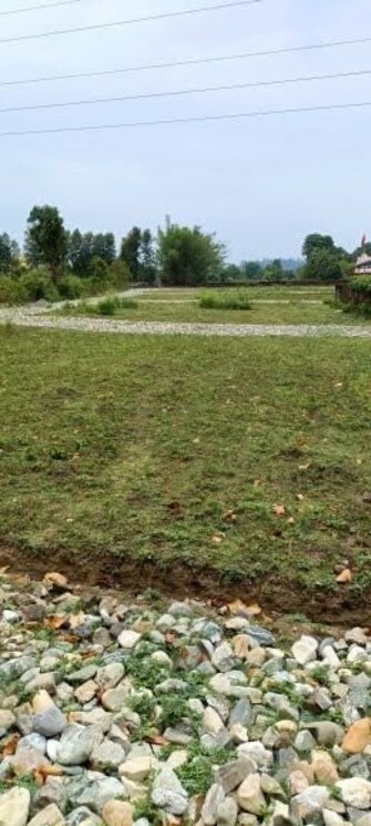 Plot For Resale in Nanda Ki Chowki Dehradun  8005306