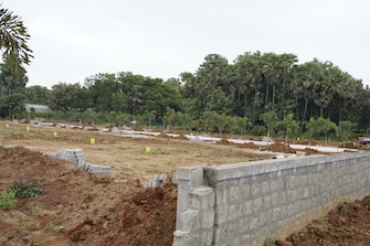 Plot For Resale in Chelluru Vizianagaram  8005535