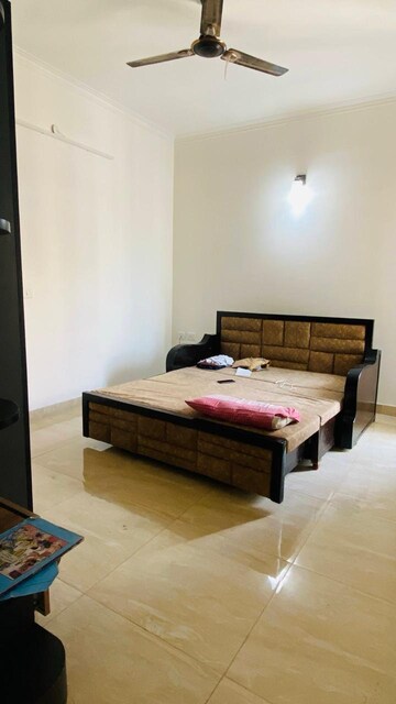 2 BHK Apartment For Rent in Gaur City 2 - 14th Avenue, Sector 16c Greater Noida