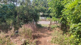 Plot For Resale in Kanjikode Palakkad  8005425