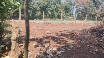 Plot For Resale in Kanjikode Palakkad  8005425