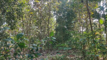  Plot – Exterior View View at Kanjikode - for Sale
