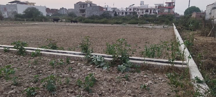 undefined, jankipuram  1000 Sq.Ft. Plot In Jankipuram Lucknow 8005444