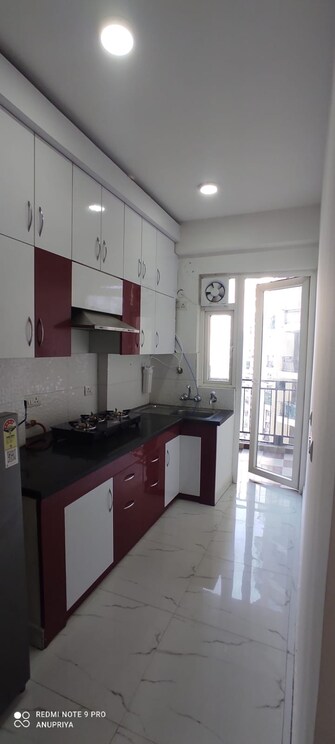 2 BHK Apartment For Rent in Casa Woodstock Noida Ext Sector 16c Greater Noida  8005436