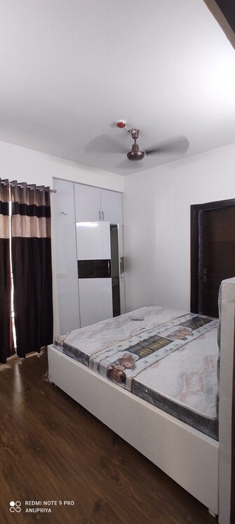 2 BHK Apartment For Rent in Casa Woodstock Noida Ext Sector 16c Greater Noida  8005436