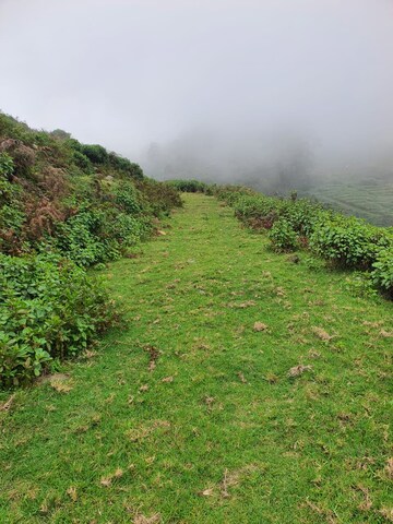  Plot – Exterior View View at Kodaikanal - for Sale