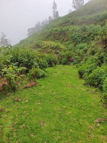  Plot – Exterior View View at Kodaikanal - for Sale
