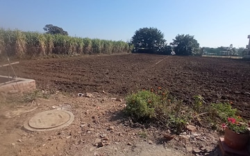 Plot For Sale in Badripur