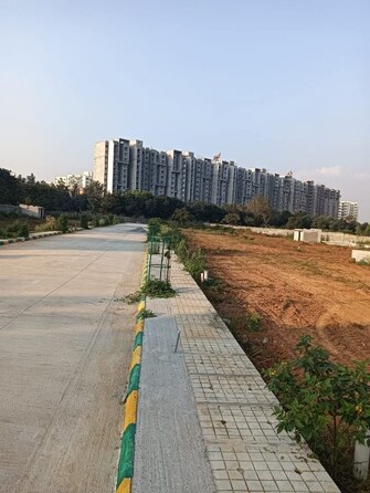 Plot For Resale in Begur Heights Begur Road Bangalore  8005615