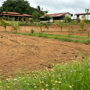 Plot Area in  Plot at Denkanikottai – for Sale