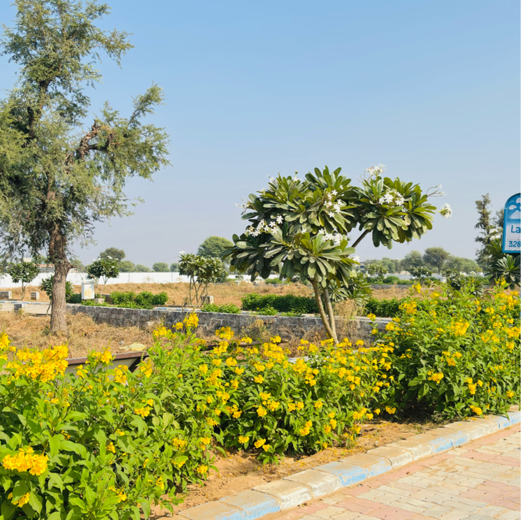Garden, vrb-amber  100 Sq.Yd. Plot In Neota Jaipur 8005826