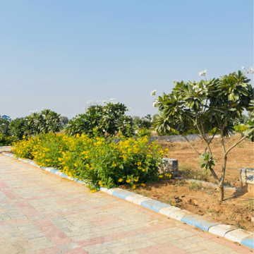 Plot Area in  Plot at VRB Amber, Neota – for Sale
