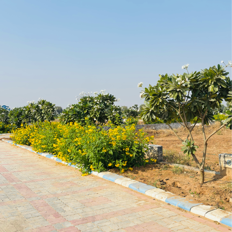 undefined, vrb-amber  100 Sq.Yd. Plot In Neota Jaipur 8005826