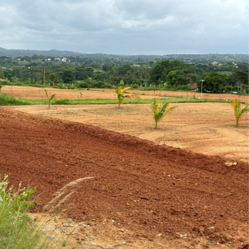 Plot Area in  Plot at Denkanikotta rd – for Sale