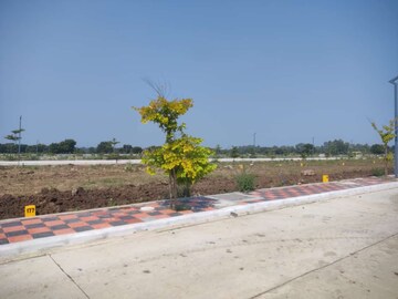 Plot Area in  Plot at Kandi – for Sale