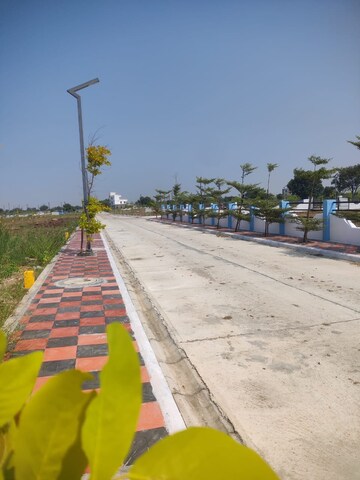 Plot Area in  Plot at Kandi – for Sale