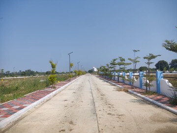  Plot – Exterior View View at Kandi - for Sale