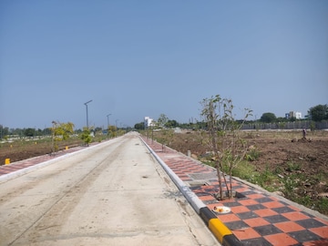 Plot Area in  Plot at Kandi – for Sale
