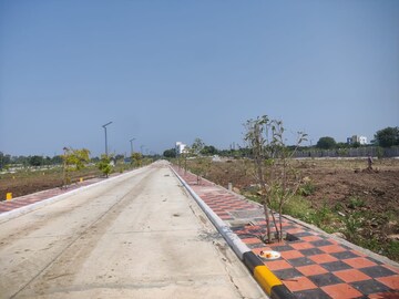 Plot Area in  Plot at Kandi – for Sale