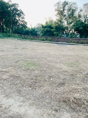 Plot Area in  Plot at Badowala – for Sale