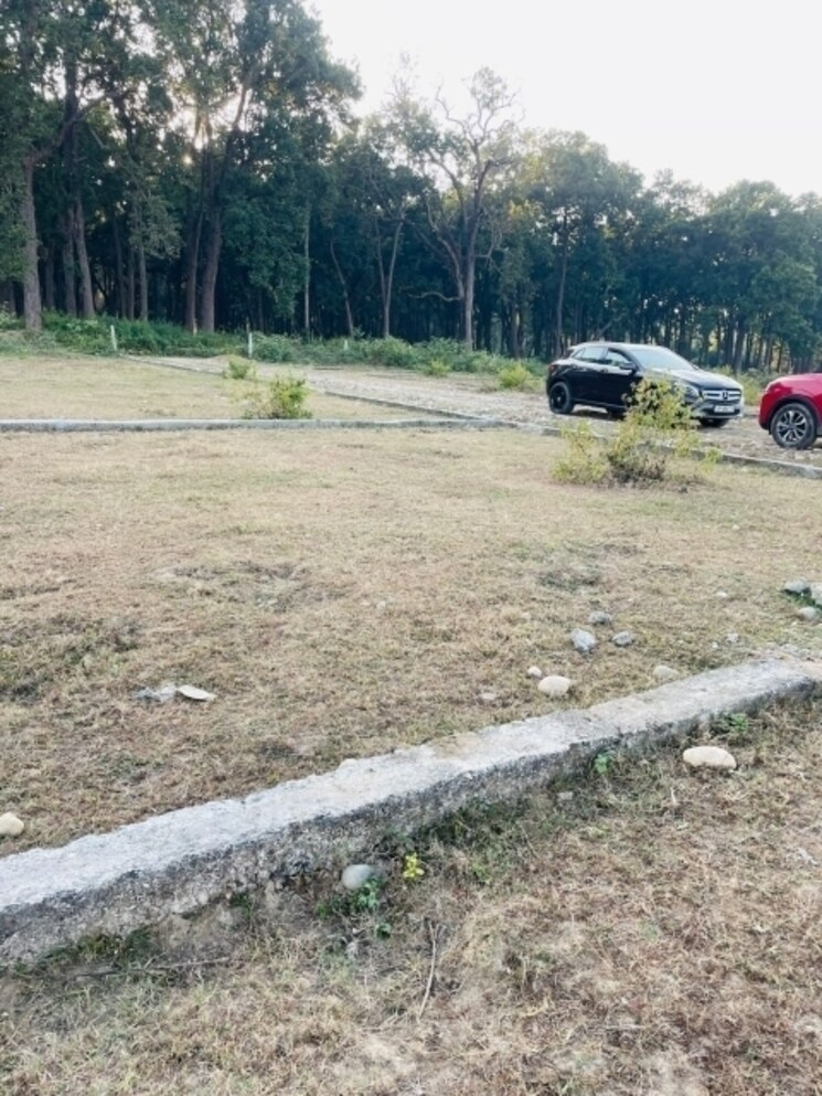 undefined, badowala  166 Sq.Yd. Plot In Badowala Dehradun 8006196