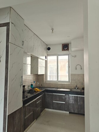 3 BHK Independent House For Resale in Carnation Greens Sector 8 Faridabad  8006260