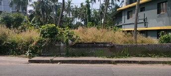 Plot For Resale in Chelakottukara Thrissur  8006450