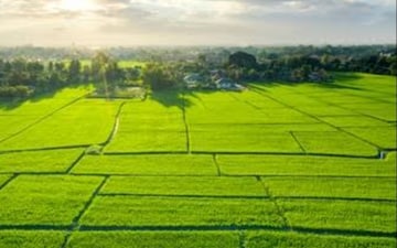 Plot For Sale in Science City