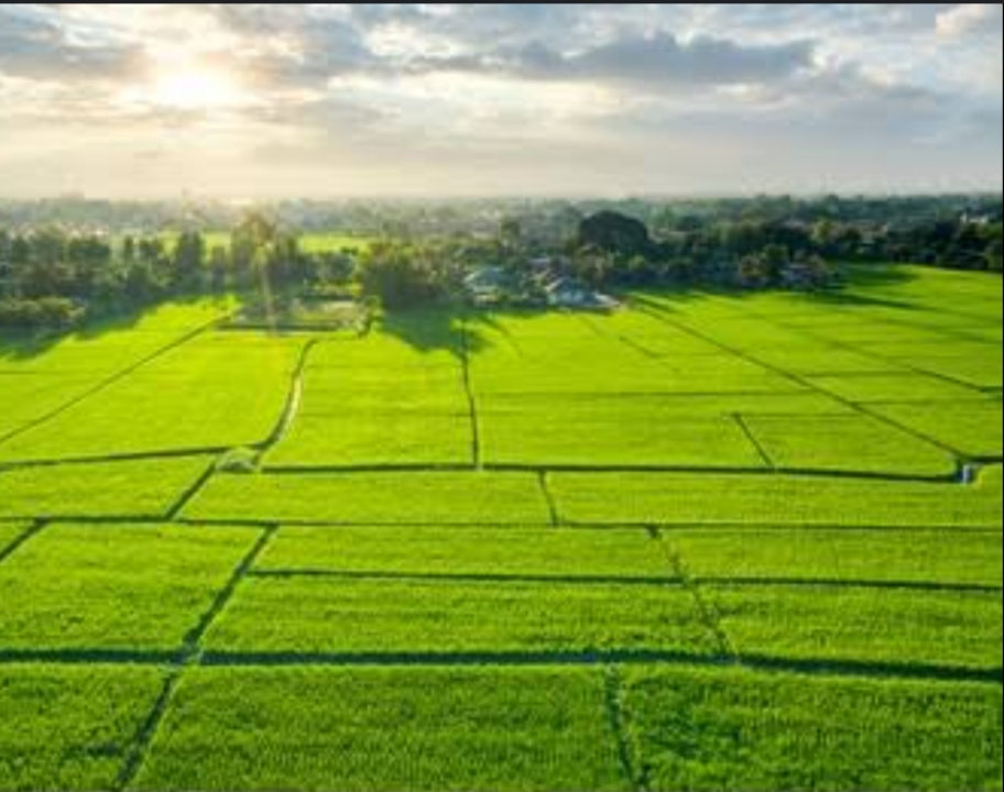 Plot For Sale in New Science City 