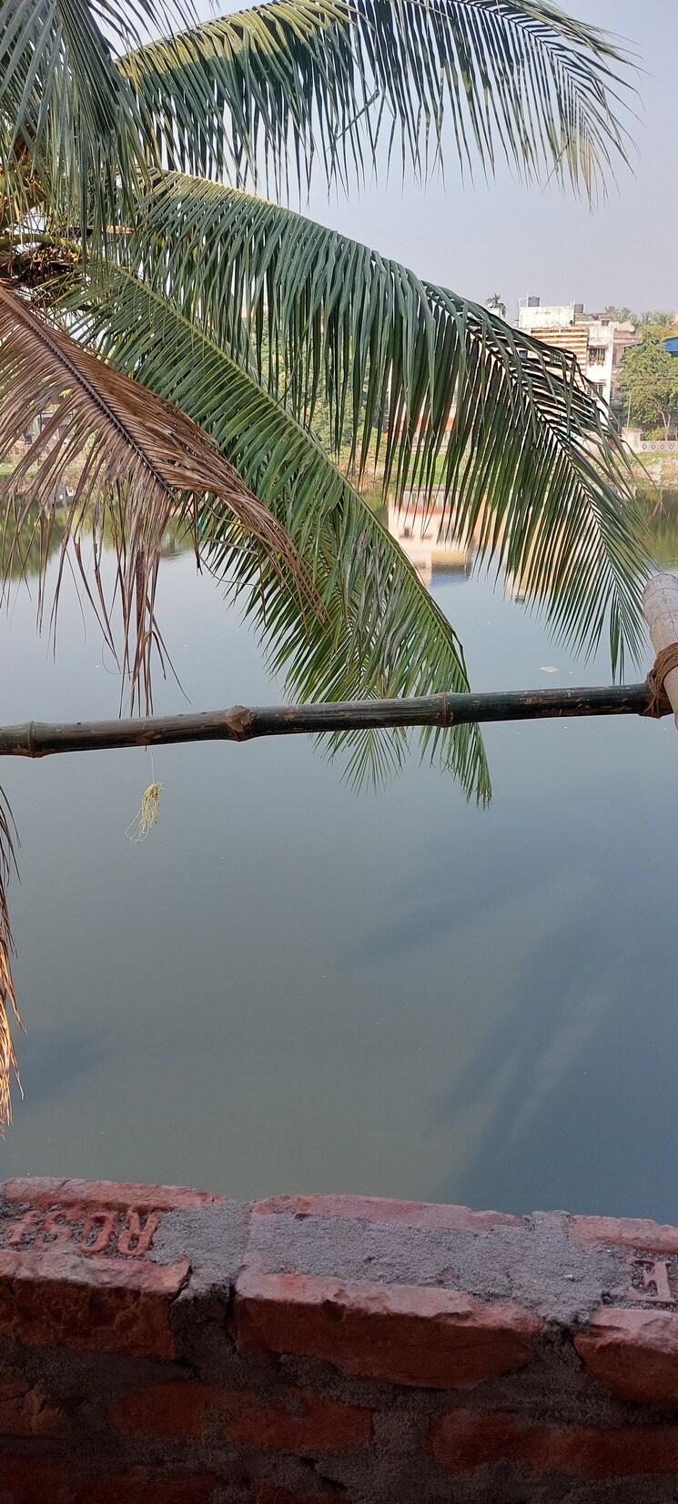 undefined, kalibari-apartment 2 Bedroom 780 Sq.Ft. Apartment In Behala Kolkata 8006734