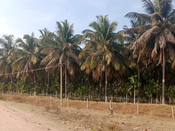  Land – Exterior View View at Belur Road - for Sale