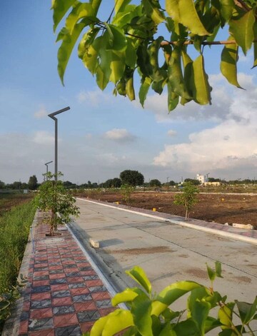 Plot – Garden View at Kandi - for Sale