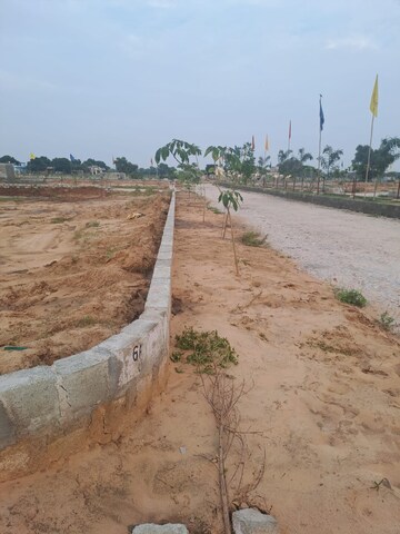 Plot Area in  Plot at Sector 87 – for Sale