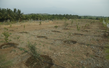 Plot For Sale in Dabhoi Road
