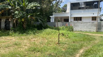 Plot For Resale in Thiruvankulam Kochi  8007412