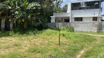 Plot For Resale in Thiruvankulam Kochi  8007412