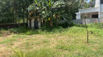 Plot For Resale in Thiruvankulam Kochi  8007412