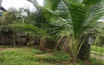 Plot For Sale in Thrippunithura