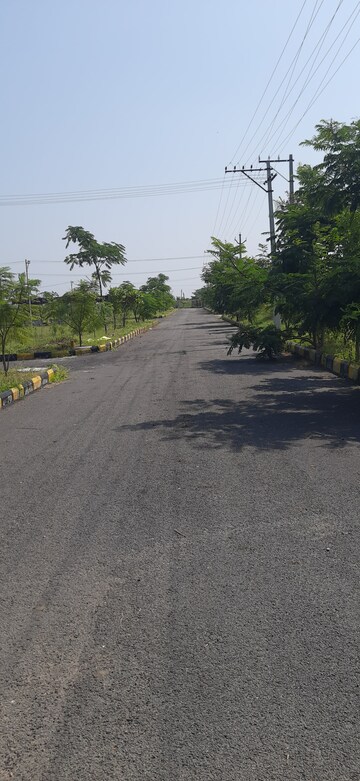Plot Area in  Plot at Nandikandi – for Sale