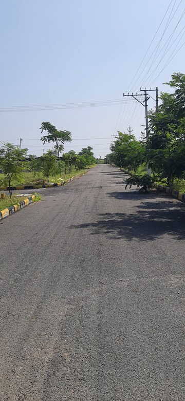 Plot Area in  Plot at Nandikandi – for Sale