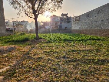  Plot For Sale in Nemarugomula